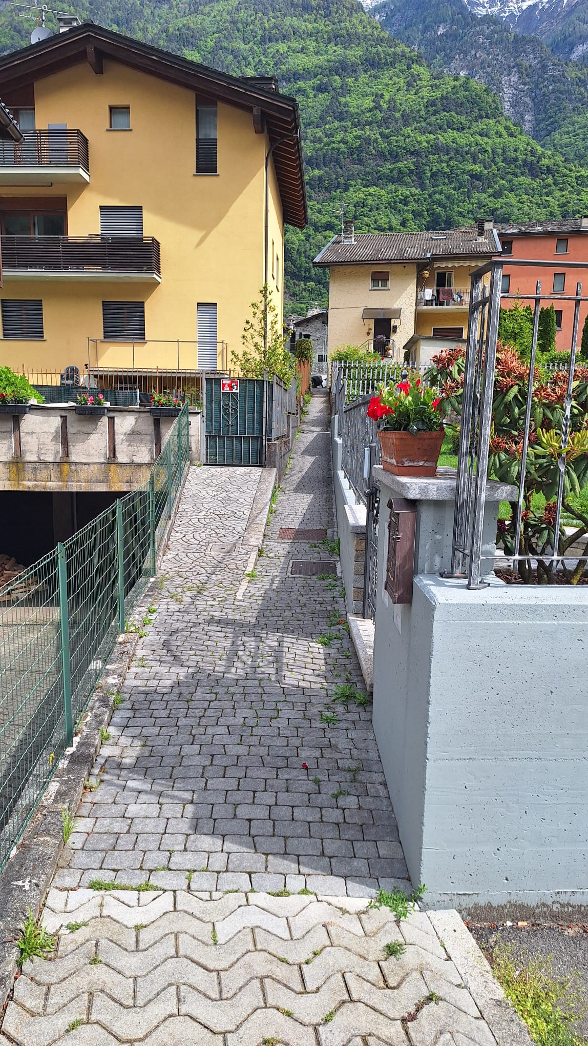 Stradina per raggiungere il campo